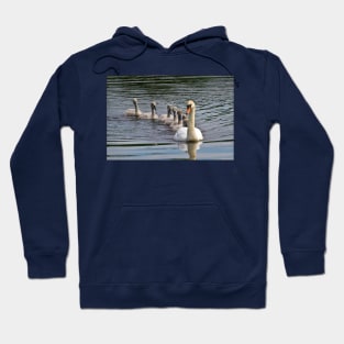 7 Cygnet Crescent Hoodie